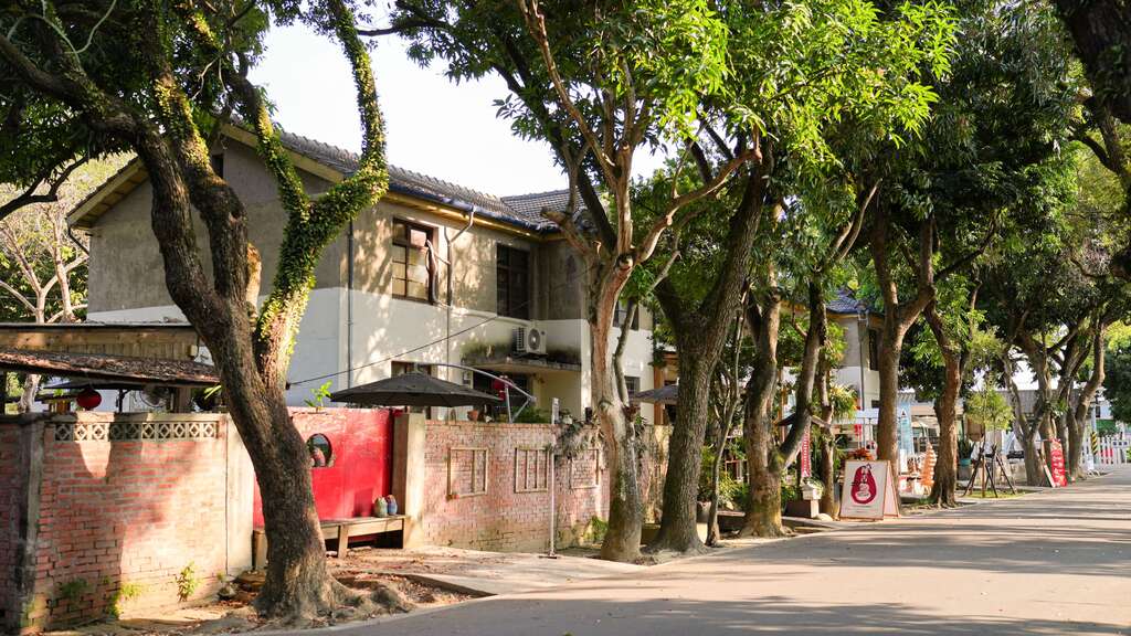 光復新村樹蔭街廓與老屋建築，作為霧峰週末散步報導封面圖