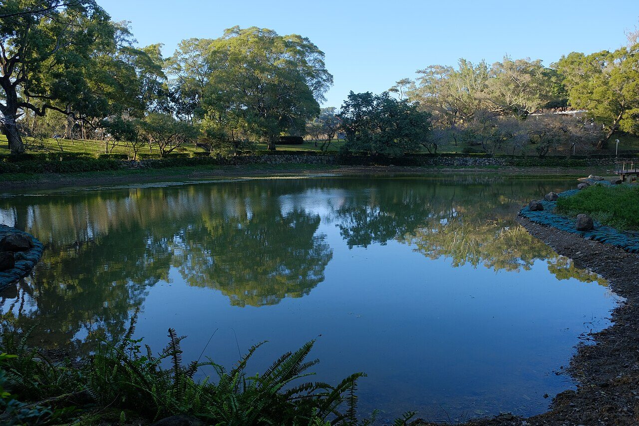 角板山公園水池倒映周邊林木與草坡（2021 年攝）